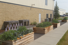 16.-CPA-of-Alberta-8