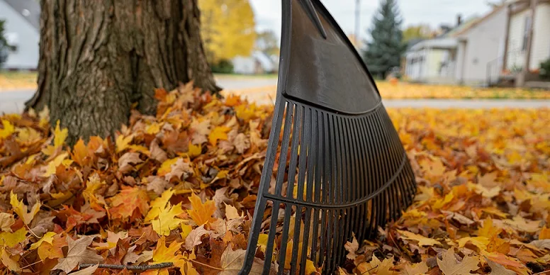 Commercial fall landscape services calgary