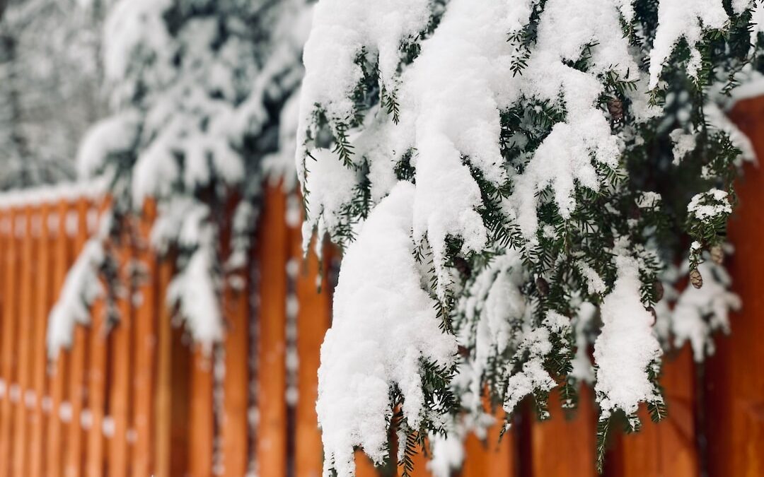 cedar fencing materials