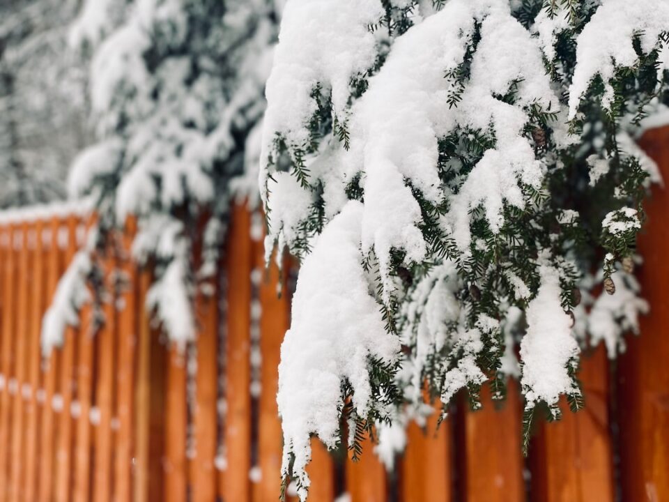 cedar fencing materials