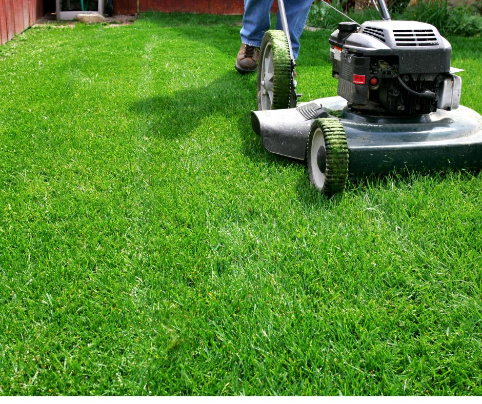 Commercial Grounds Maintenance Services