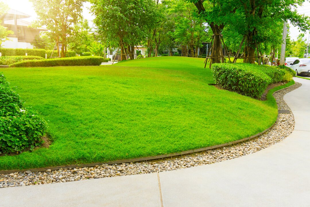 Expert Commercial Lawn Mowing Services in Calgary