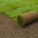 How Big is a Roll of Sod