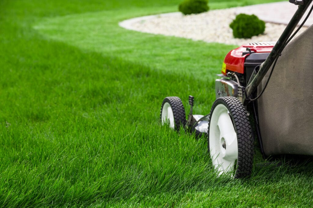 How to Care for Your Lawn A Complete Guide