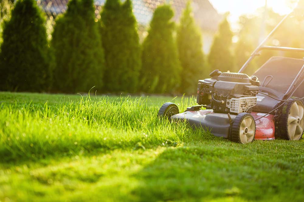 How to Take Care of Lawn with Ace Landscapes