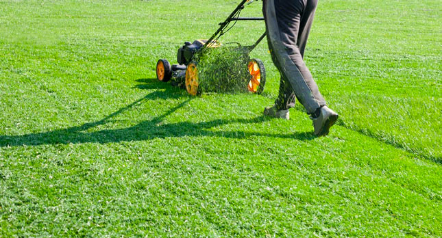Our Expert Commercial Lawn Mowing Services in Calgary Include