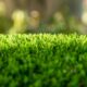 How to Lay Artificial Turf Grass